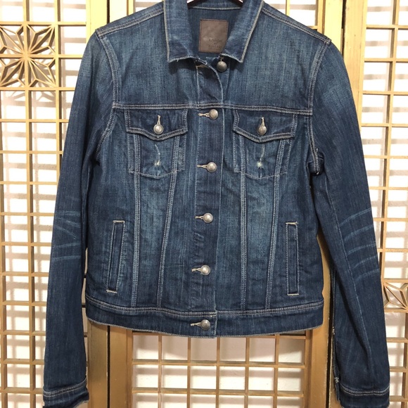 levis panatela pants